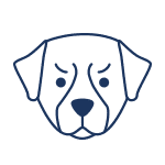 Dog Bite Injury