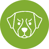 Illinois Dog Bite Lawyer – Top 10 Questions Answered Here